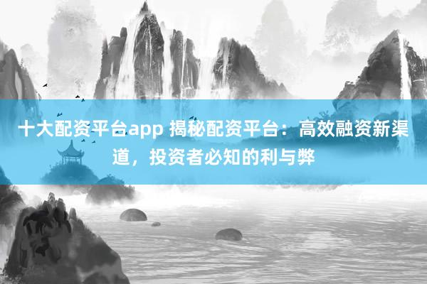 十大配资平台app 揭秘配资平台：高效融资新渠道，投资者必知的利与弊