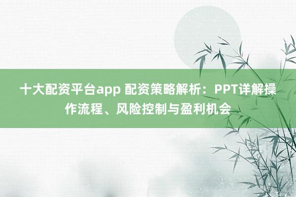 十大配资平台app 配资策略解析：PPT详解操作流程、风险控制与盈利机会
