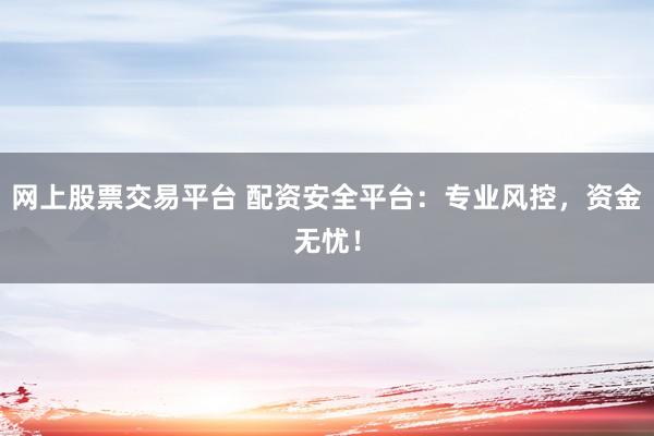 网上股票交易平台 配资安全平台：专业风控，资金无忧！