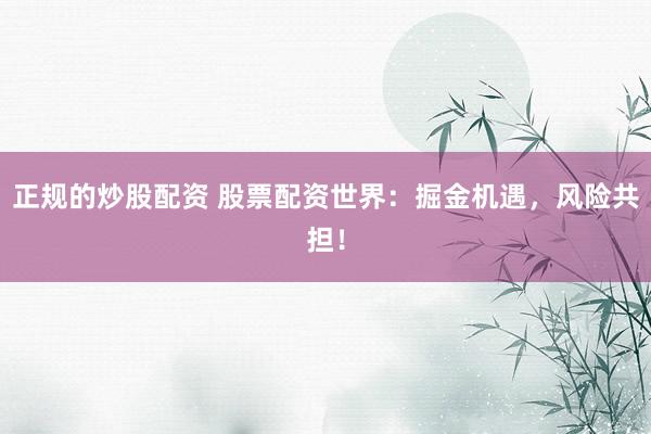 正规的炒股配资 股票配资世界：掘金机遇，风险共担！