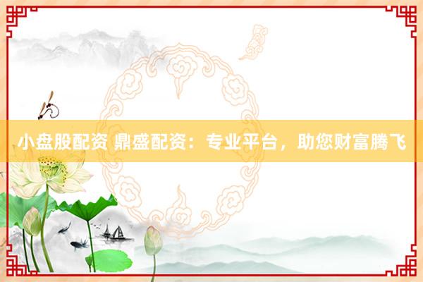 小盘股配资 鼎盛配资：专业平台，助您财富腾飞