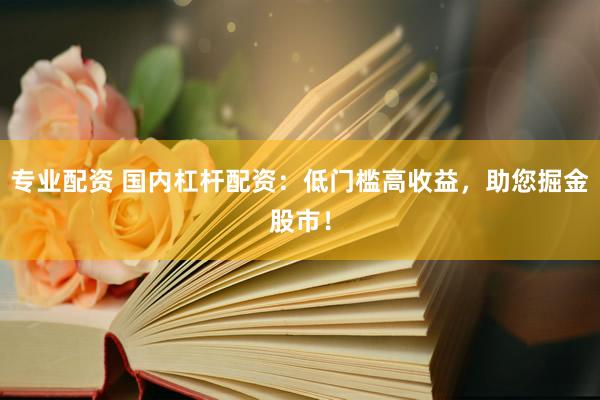 专业配资 国内杠杆配资：低门槛高收益，助您掘金股市！
