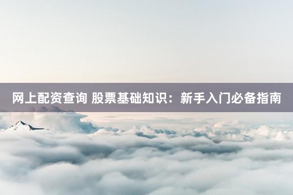 网上配资查询 股票基础知识：新手入门必备指南