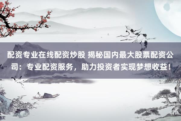 配资专业在线配资炒股 揭秘国内最大股票配资公司：专业配资服务，助力投资者实现梦想收益！