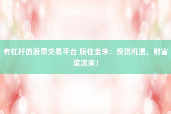 有杠杆的股票交易平台 股往金来:投资机遇,财富滚滚来!