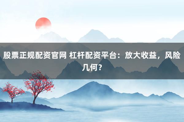 股票正规配资官网 杠杆配资平台：放大收益，风险几何？