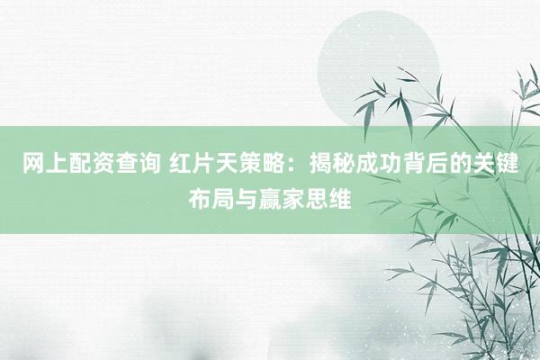 网上配资查询 红片天策略：揭秘成功背后的关键布局与赢家思维