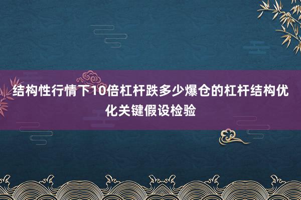 结构性行情下10倍杠杆跌多少爆仓的杠杆结构优化关键假设检验