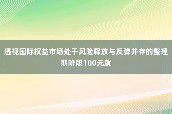 透视国际权益市场处于风险释放与反弹并存的整理期阶段100元就