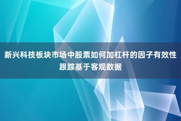新兴科技板块市场中股票如何加杠杆的因子有效性跟踪基于客观数据