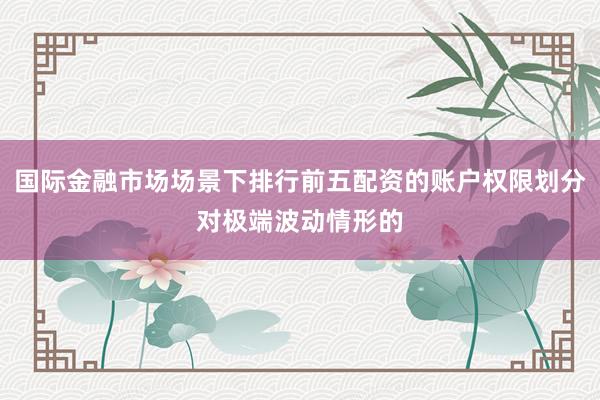 国际金融市场场景下排行前五配资的账户权限划分对极端波动情形的