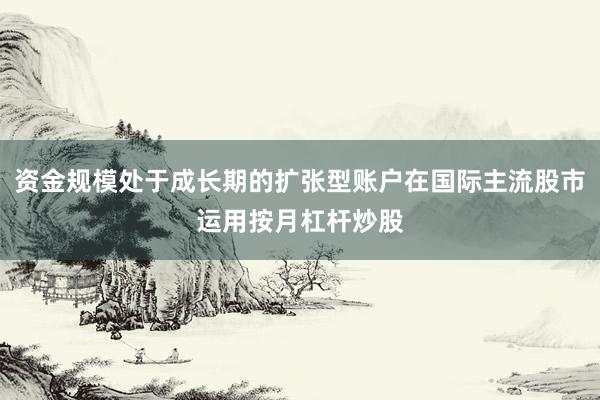 资金规模处于成长期的扩张型账户在国际主流股市运用按月杠杆炒股