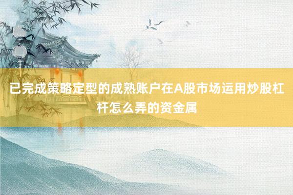 已完成策略定型的成熟账户在A股市场运用炒股杠杆怎么弄的资金属
