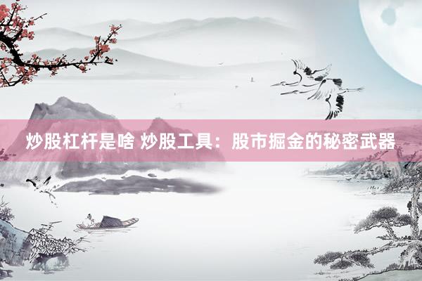 炒股杠杆是啥 炒股工具：股市掘金的秘密武器