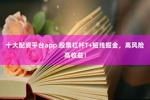 十大配资平台app 股票杠杆T+短线掘金,高风险高收益!